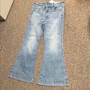 American Eagle Outfitters Blue Flare Wide Leg Jeans